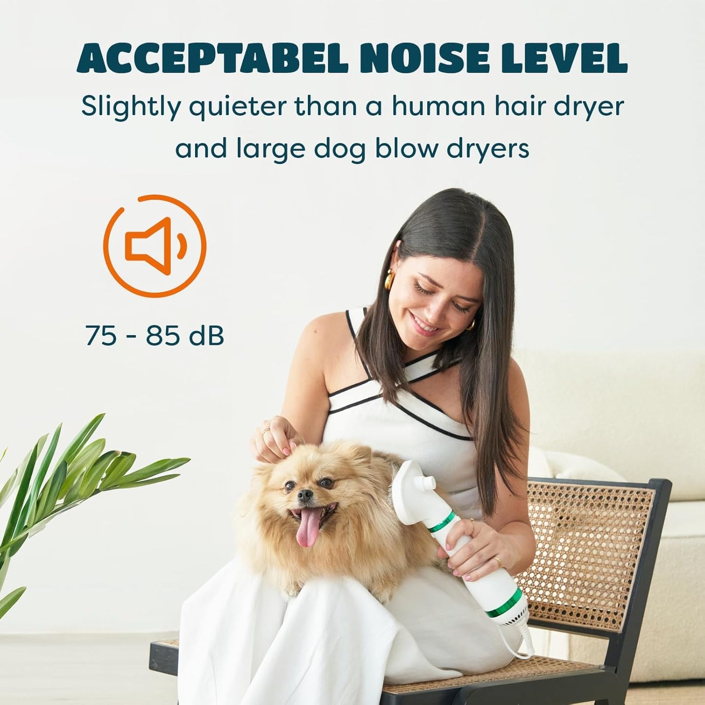 Cepillo secador para mascotas + Envío Gratis