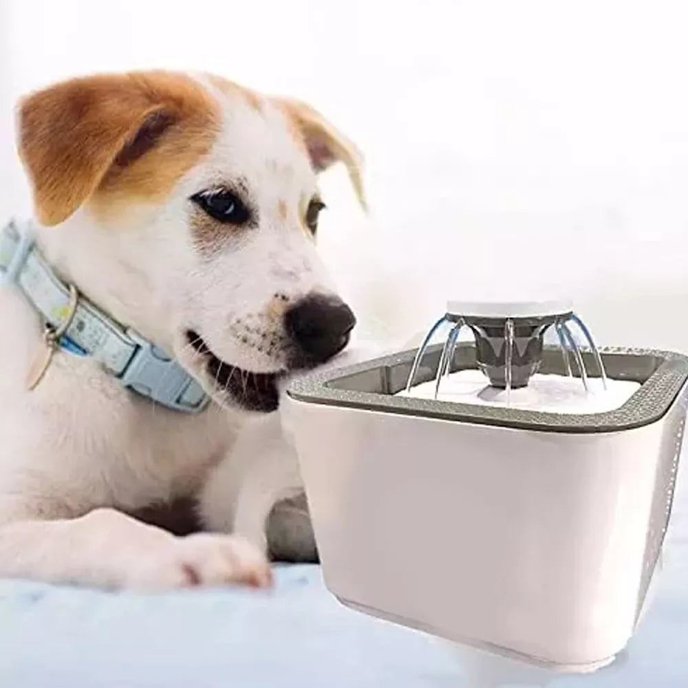 Fuente de Agua para Mascotas + Envío Gratis